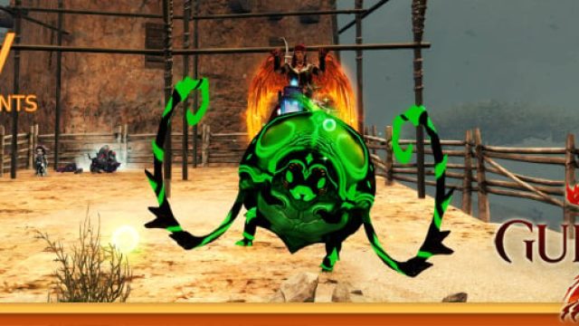 Experience the Thrill of Roller Beetle Racing in Guild Wars 2