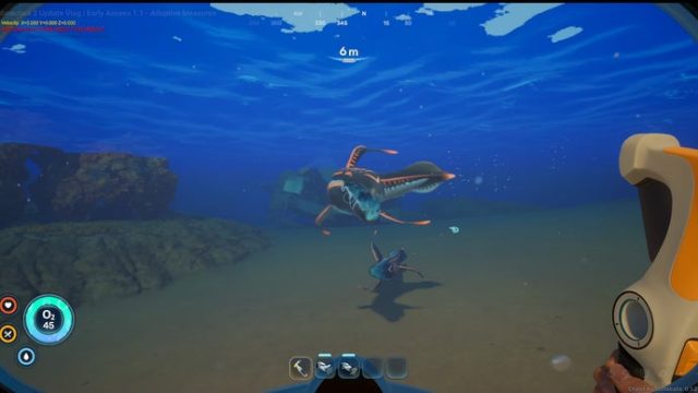 Dive Into 