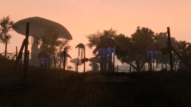 Explore th