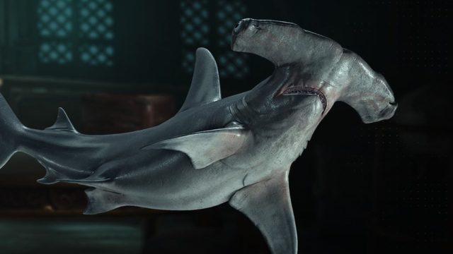 Game: Where to find hammerhead shark bones in Assassin's Creed Black Flag Resync
