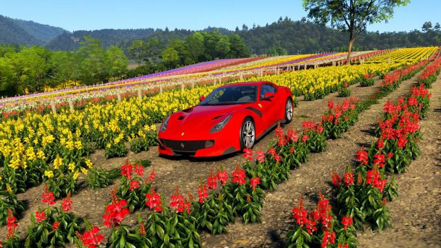 Discover Shikisai-no-Oka: Your Ultimate Guide to Forza Horizon 6's Flower Field